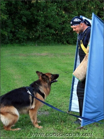 Summer training camp in Estonia 2007